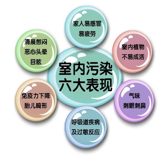 99%的人不懂新车异味去除方法,新车内除甲醛误区
