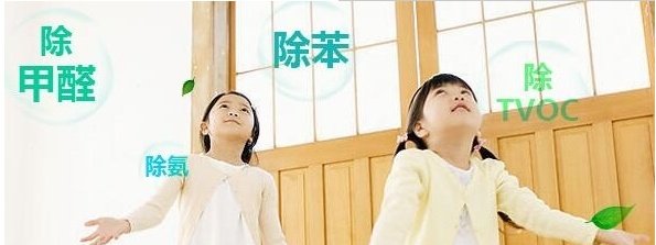 为什么说甲醛治理是重中之重？